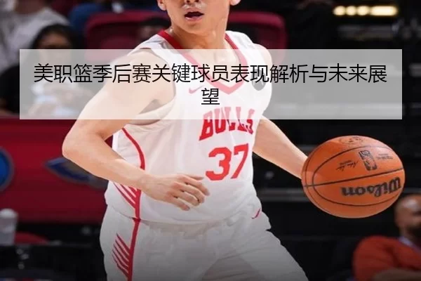 美职篮季后赛关键球员表现解析与未来展望
